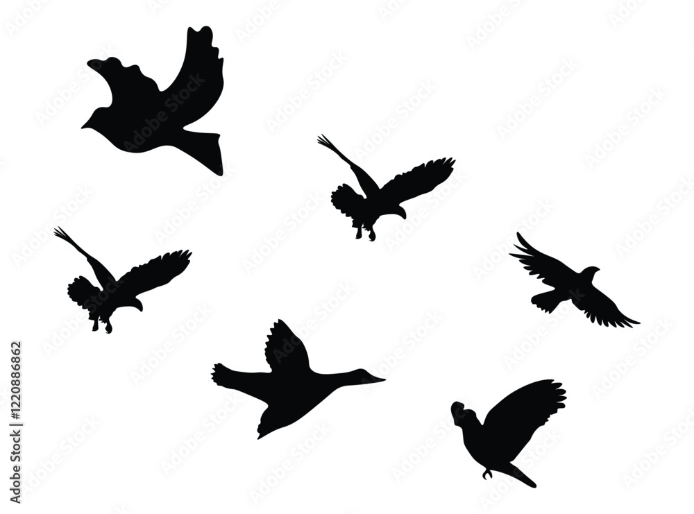 Obraz premium Bird flying silhouette