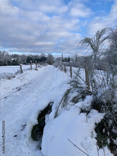 Ländliche Landschaft, im Winter mit Schnee mit Feldweg am Waldrand tief verschneit photo