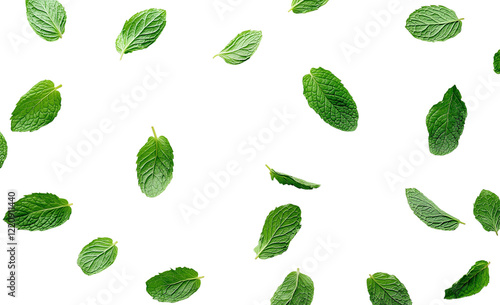 Flying or falling fresh mint leaves on transparent PNG or white background. spearmint.