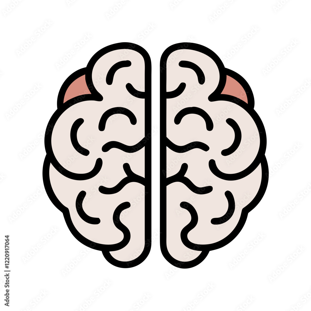 Human Brain Cross Section | Detailed Medical Illustration of Brain Anatomy