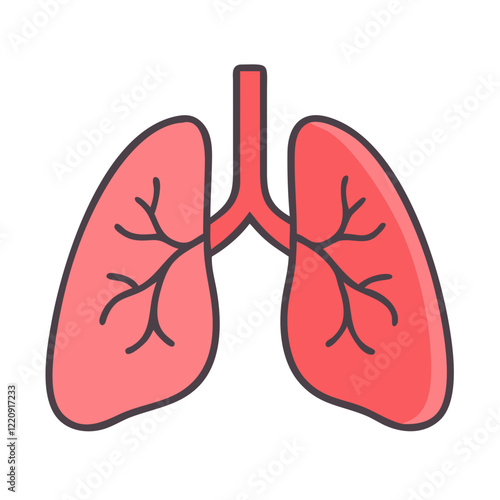 Human Lungs Anatomy | Detailed Medical Illustration of the Respiratory System