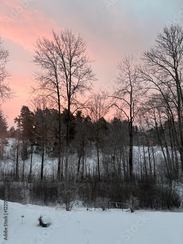 sunset in winter