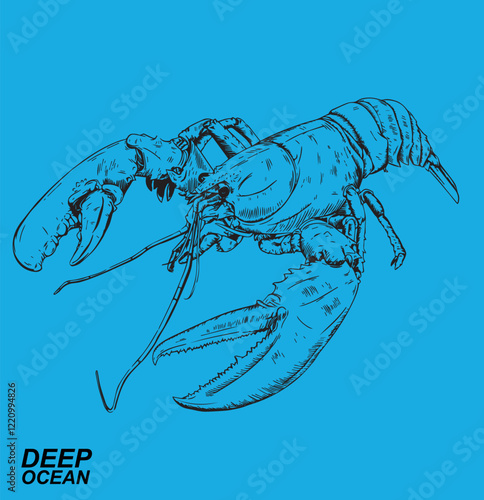 vector illustration lobster