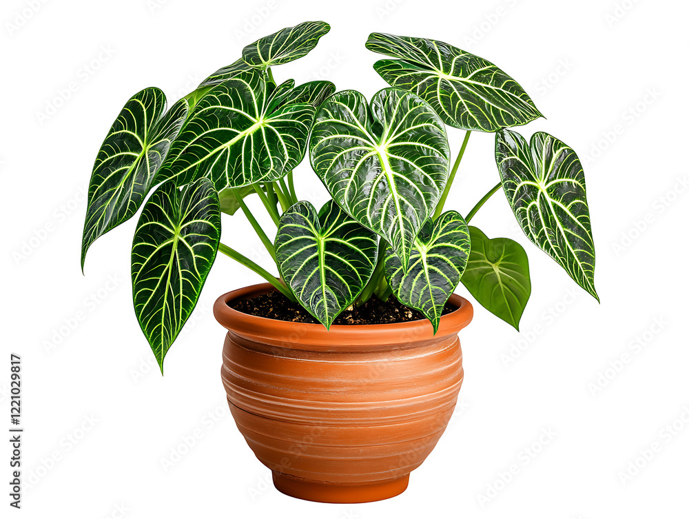 Fototapeta premium Indoor gardening tips caring for anthurium plants in home environments beautiful green foliage