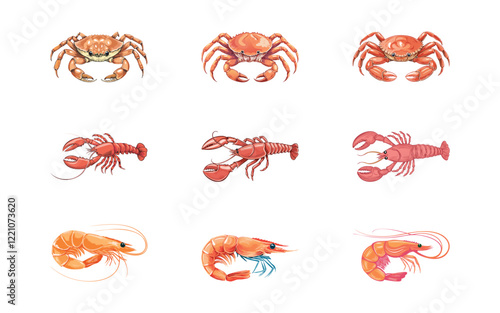 crab, lobster, shrimp hand drawn with three style