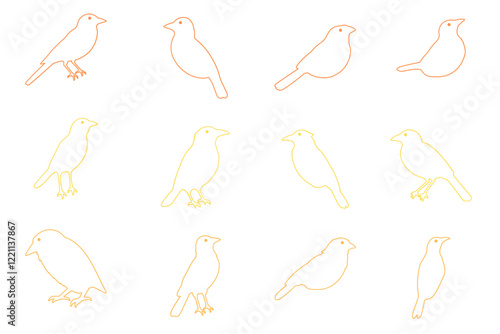 Outline Canary Bird Illustration Design Set
