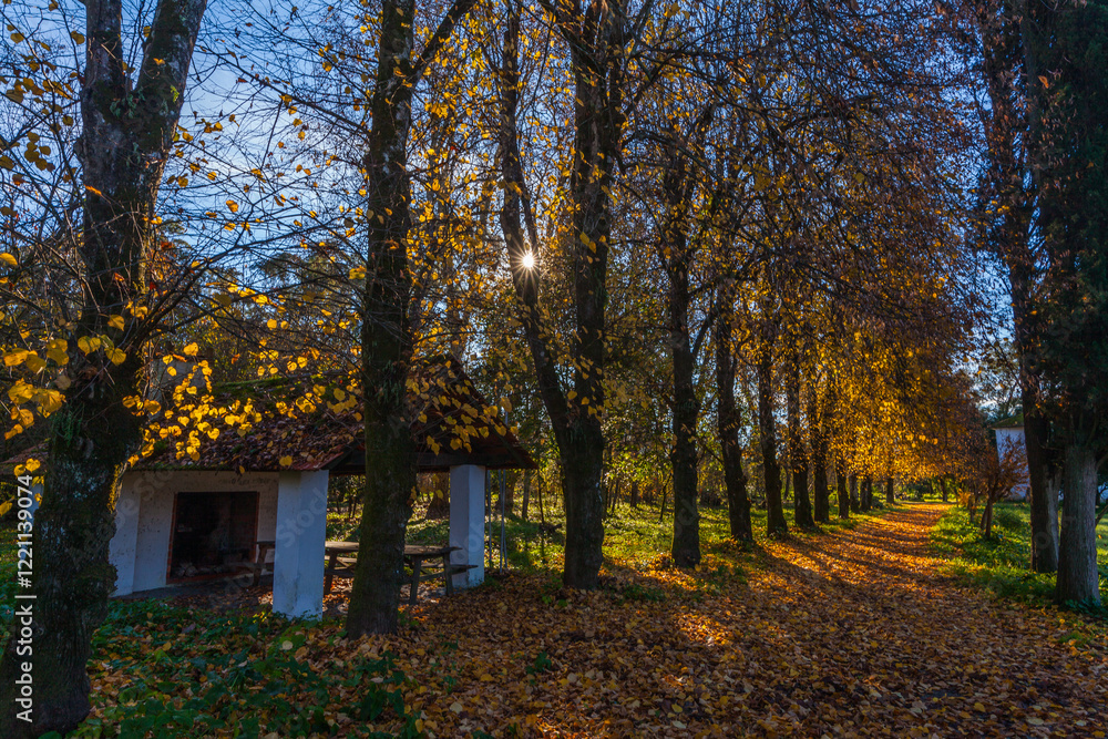 Fototapeta premium A small structure sits beside a path lined with trees in autumn foliage, bathed in warm sunlight.