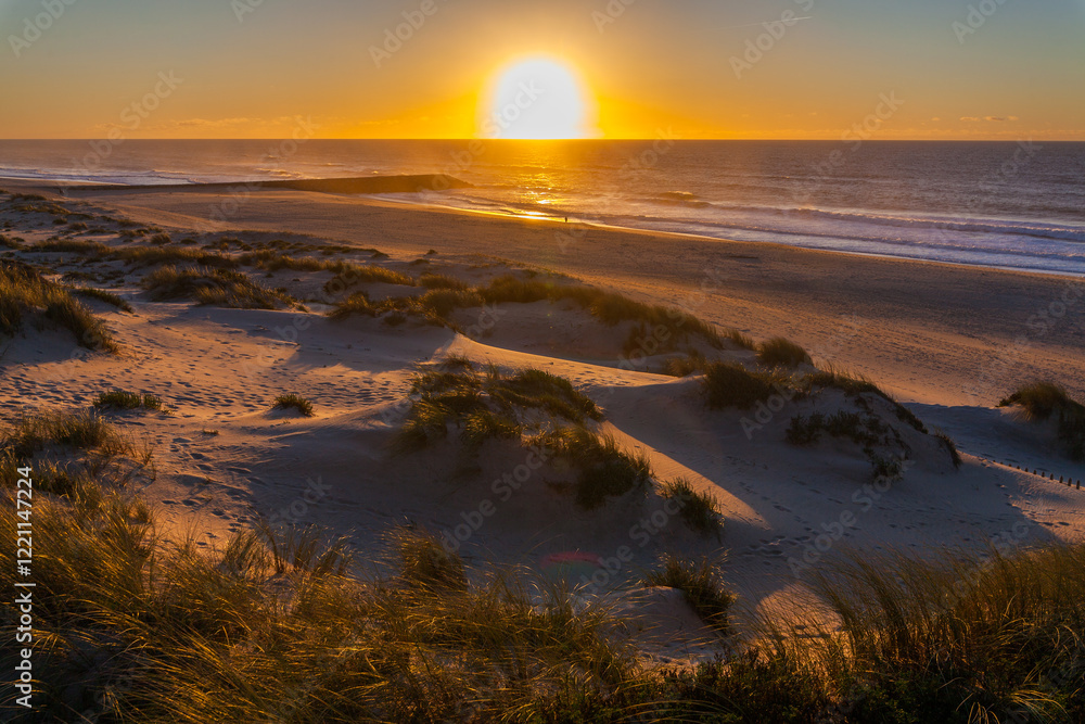 Sunset over a sandy beach with dunes and sea grass, creating a warm, golden light. Sunset over a sandy beach with dunes and sea grass, creating a warm, golden light.