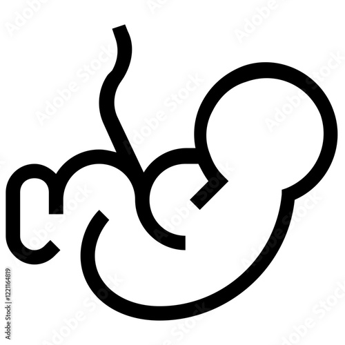 Embryo Outline