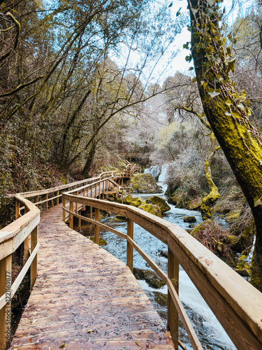 Wooden walkway winding through a lush forest, alongside a flowing stream with moss-covered rocks and trees in Pindelo, Outeiro, Oliveira de Azemeis, Portugal photo