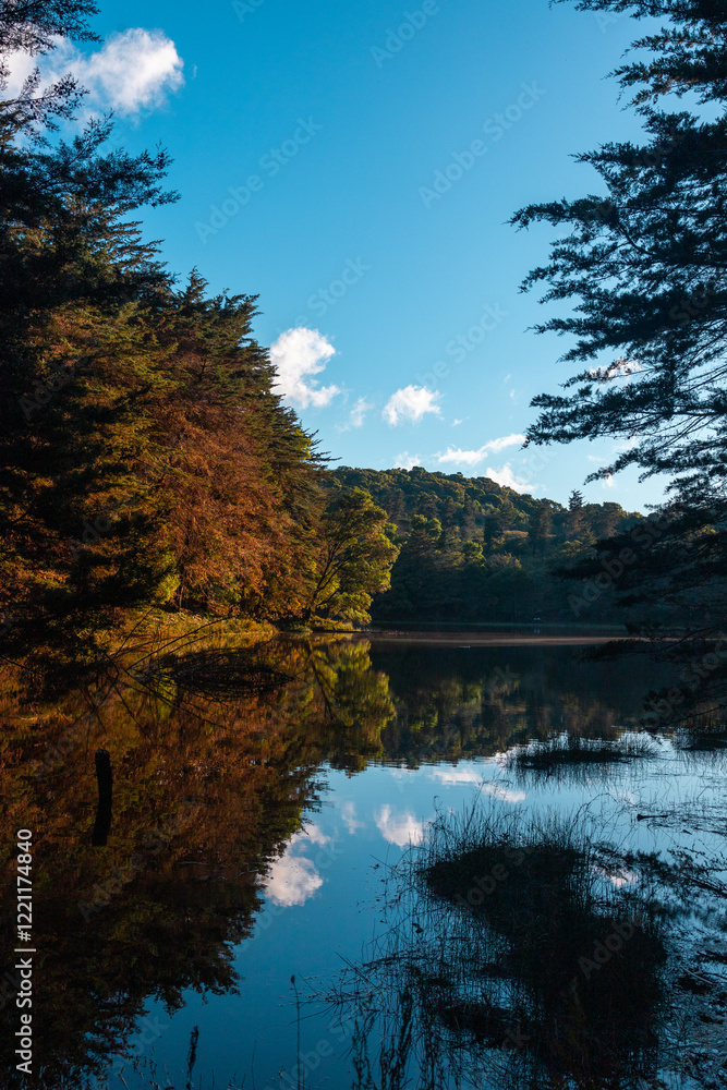 Fototapeta premium Reflection Laguna Don Manuel en Costa Rica