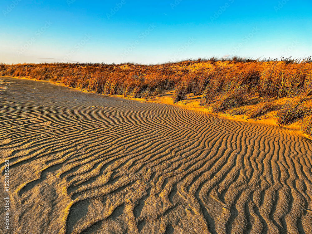 Naklejka premium Wavy sand ridges created by waves and wind, touch the sand dunes and brush along the coast of Delaware Bay, Cape Henlopen State Park, Lewes, Delaware