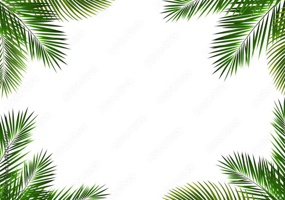 Green Palm Branch Isolated White Background Green Palm Branch Isolated White Background