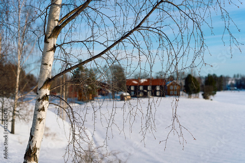 The cultural landscape of Toten, Norway, a day in January 2025. photo