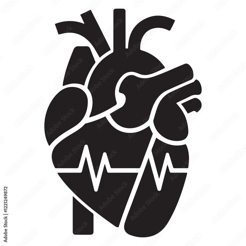 Anatomical heart vector silhouette icon. heartbeat, cardiovascular, anatomy, medical, health, cardiology illustration, biology, organ, human heart collection Anatomical heart vector silhouette icon. heartbeat, cardiovascular, anatomy, medical, health, cardiology illustration, biology, organ, human heart collection