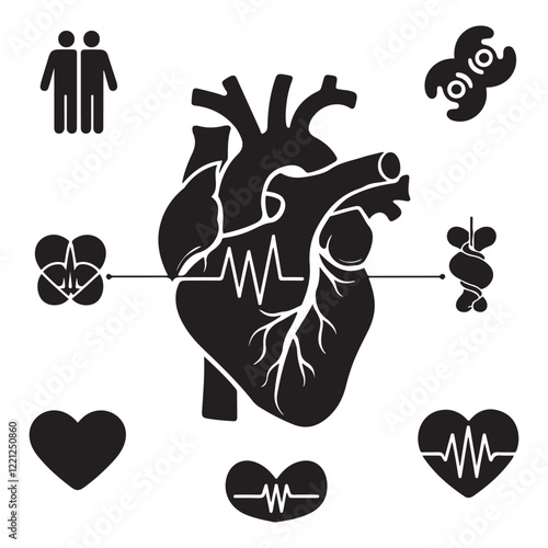 Anatomical heart vector silhouette icon. heartbeat, cardiovascular, anatomy, medical, health, cardiology illustration, biology, organ, human heart collection