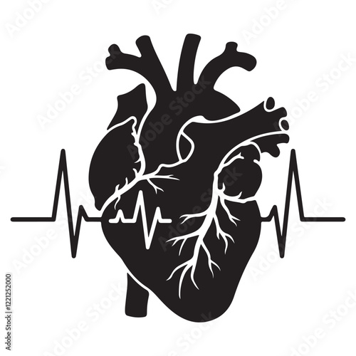 Anatomical heart vector silhouette icon. heartbeat, cardiovascular, anatomy, medical, health, cardiology illustration, biology, organ, human heart collection
