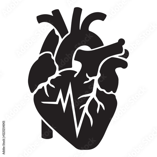 Anatomical heart vector silhouette icon. heartbeat, cardiovascular, anatomy, medical, health, cardiology illustration, biology, organ, human heart collection