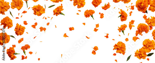 Marigold Shower: A captivating cascade of vibrant orange marigold flowers and petals gracefully falls against a blank canvas. The image evokes a sense of celebration, abundance.