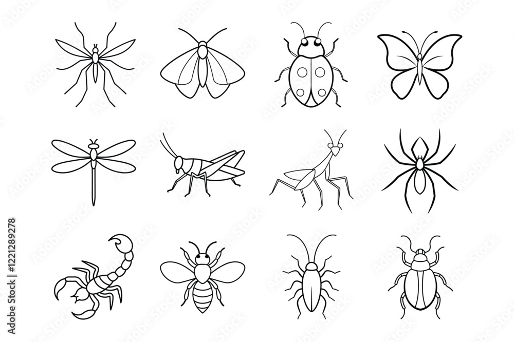 Insects and Arachnids line art Bundle Insects and Arachnids line art Bundle