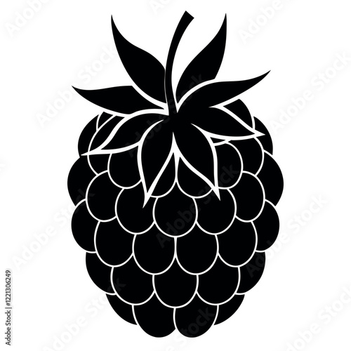 illustration of grapes vector