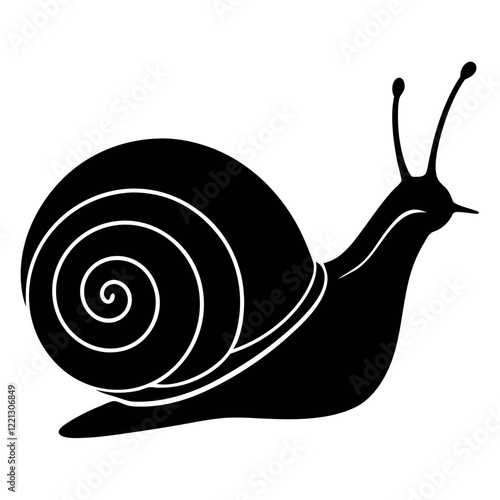 snail on a white background vector illustration