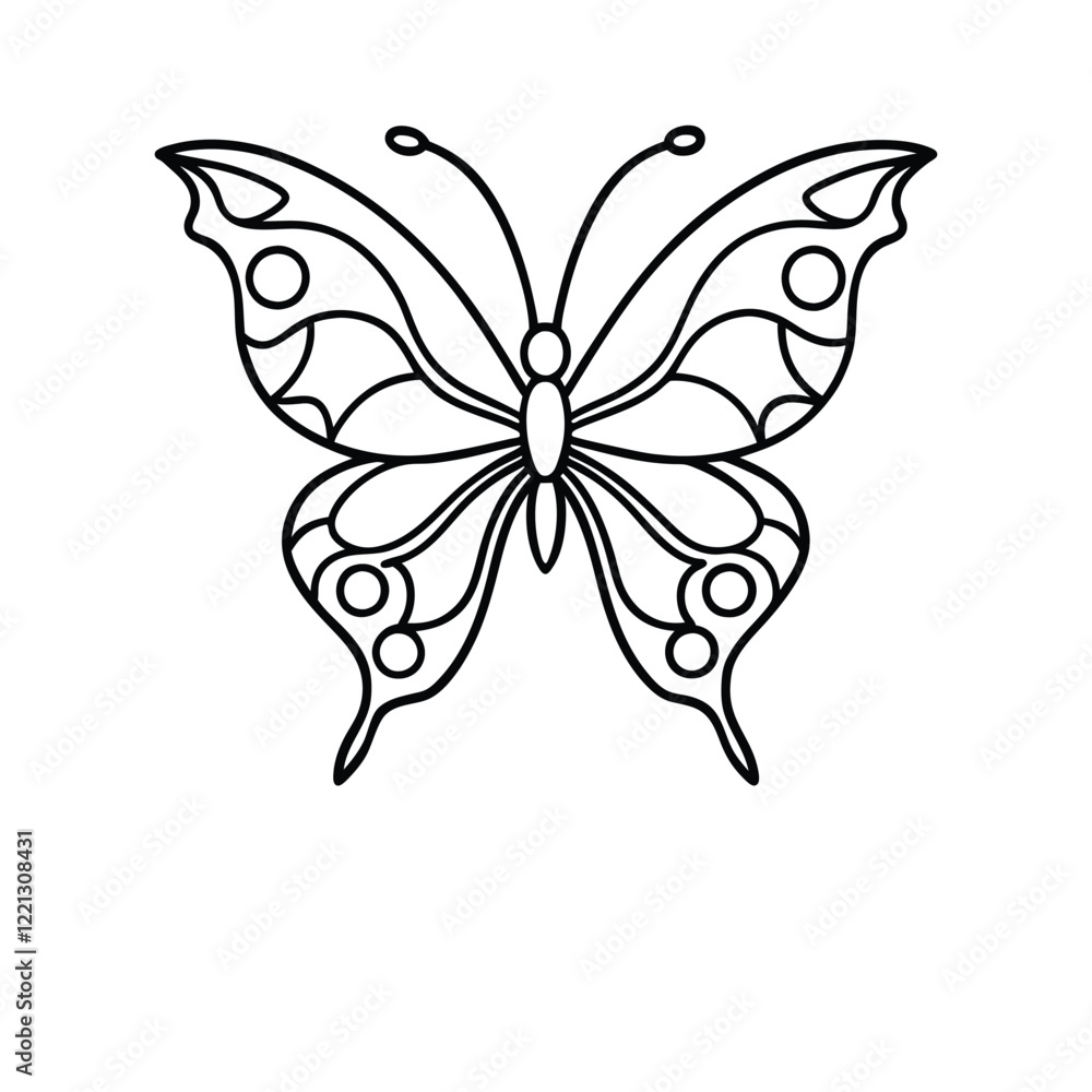 Fototapeta premium butterfly 
