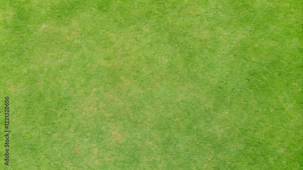 Fototapeta premium golf fairway grass texture top view