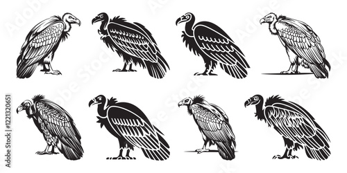 Set of a bold and striking vector silhouette of a vulture