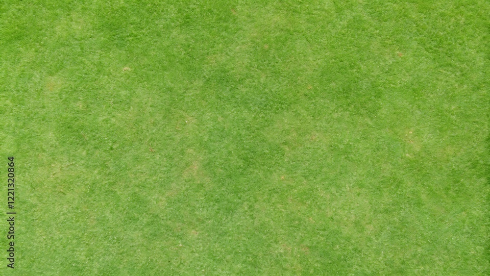 Fototapeta premium golf fairway grass texture top view