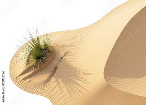 Aerial view of a desert dune with a small plant  Ideal for nature travel or environmental themes High-resolution image photo