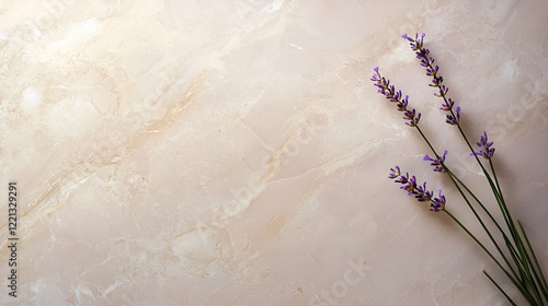 Lavender sprigs on a light beige marble background.  Elegant and serene, perfect for spa or wellness themes. photo