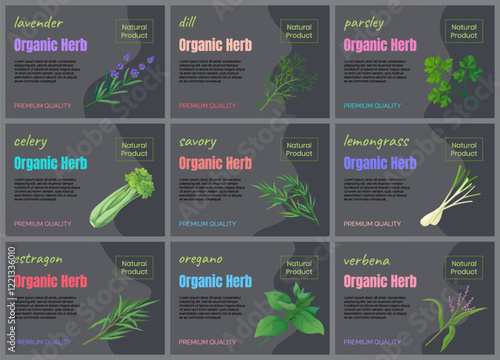 Herbal leaves icons. Organic herbs. Fresh lemongrass and dill. Natural plant product. Greengrocery food labels. Premium quality. Vegetarian ingredient. Vector design marketing banners set