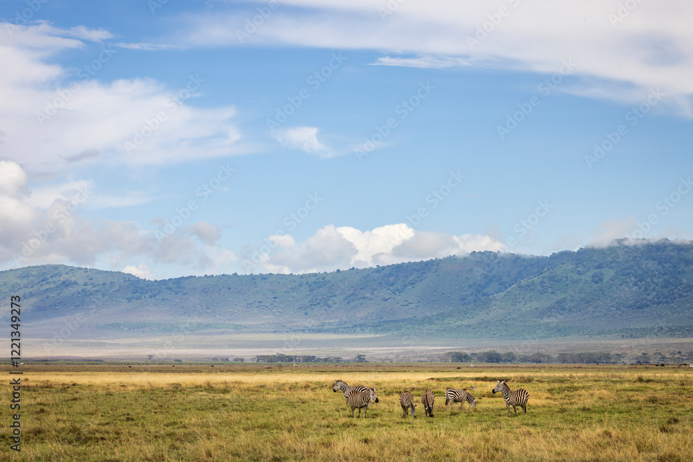 Scenic view of Ngorongoro Conservation Area with zebra during rainy season in november in Tanzania, East Africa Scenic view of Ngorongoro Conservation Area with zebra during rainy season in november in Tanzania, East Africa