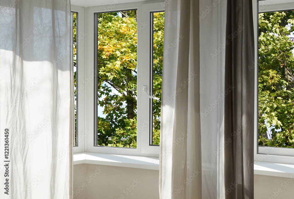 Obraz premium View from the window on the garden green trees.
