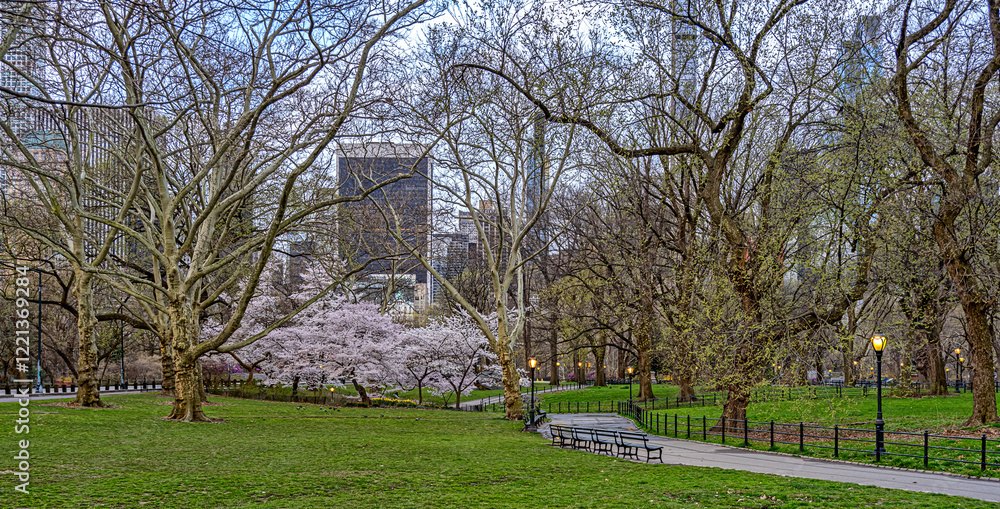 Central Park in spring