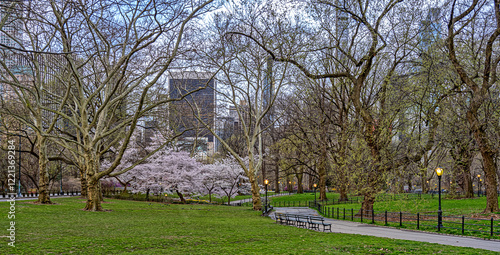 Obraz na płótnie Central Park in spring w salonie