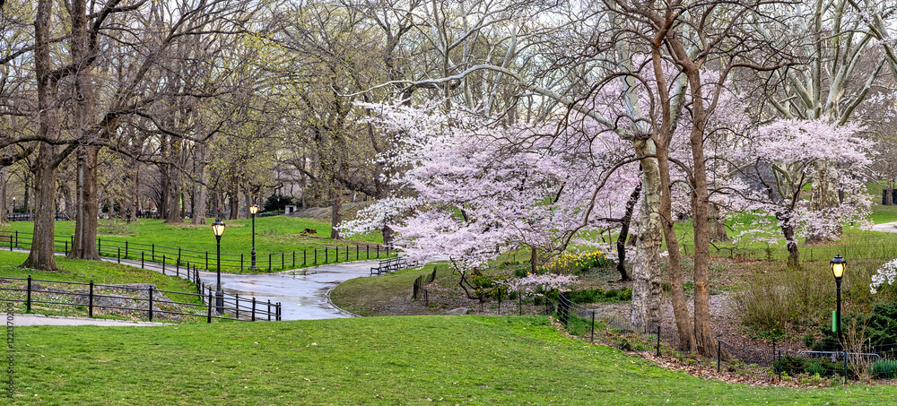 Central Park in spring Central Park in spring