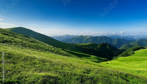 landscape in summer