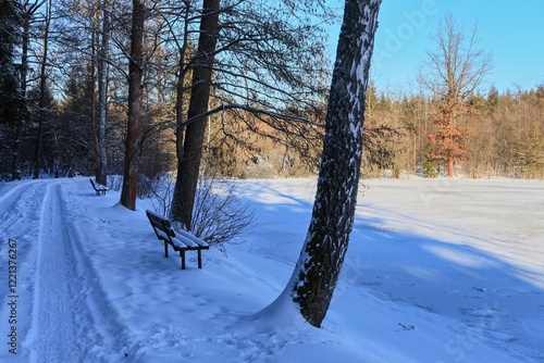 Bench by a snowy forest lake