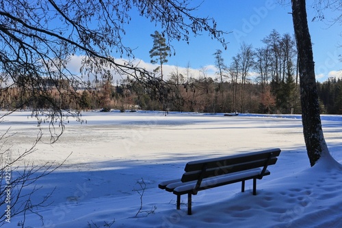 Bench by a snowy forest lake