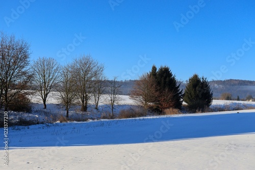 Winter landscape