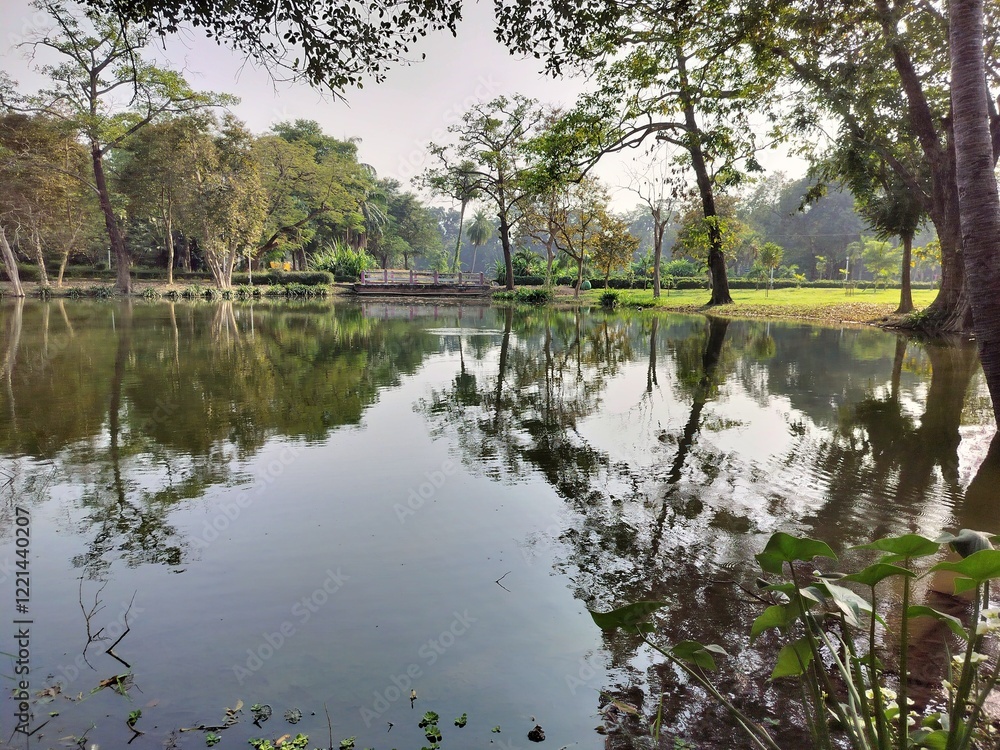 Fototapeta premium Beautiful Water lake, forest reflection and nature landscape. Serene forest view. 