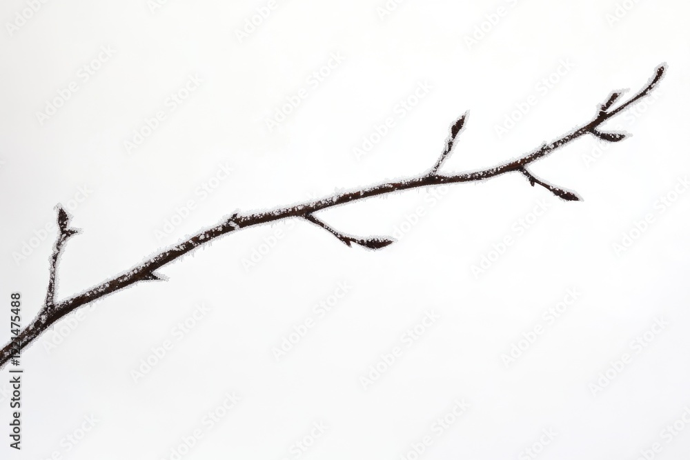 A small bird perched on a branch of a tree, waiting for food or shelter A small bird perched on a branch of a tree, waiting for food or shelter