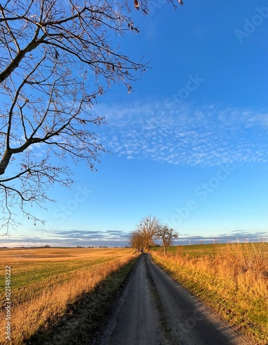 Sonniger Weg in Zentralperspektive
 photo