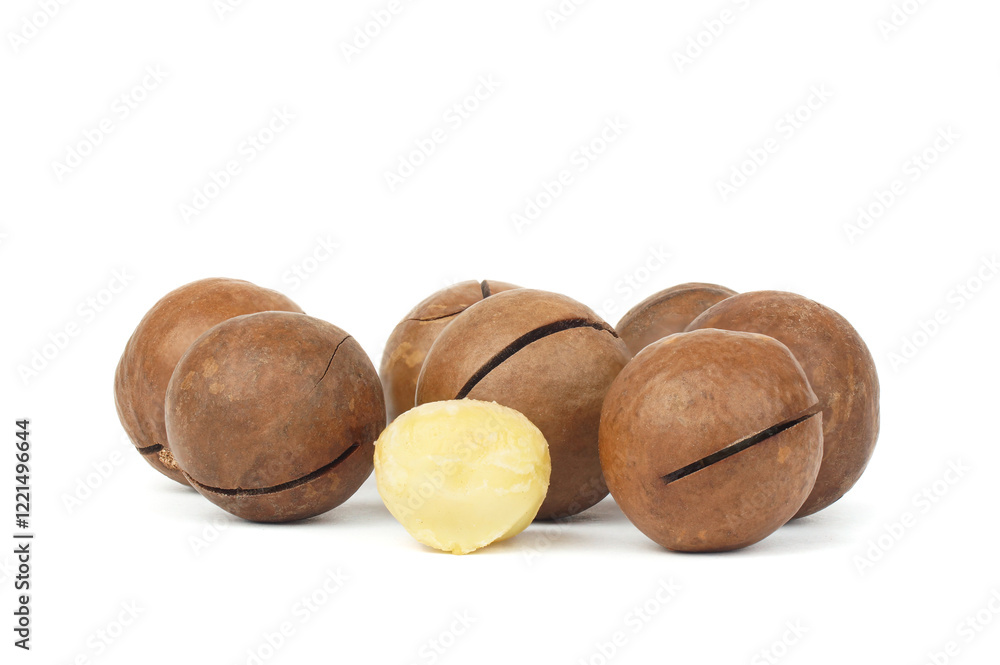 macadamia nuts on white background macadamia nuts on white background