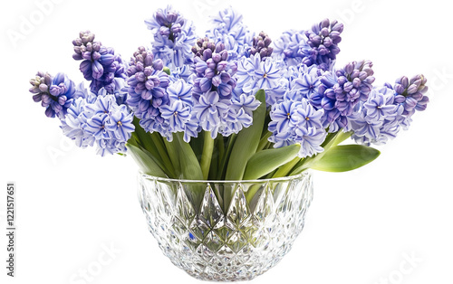 Crystal Vase Holding the Radiance of Fresh Hyacinths Isolated on transparent background. photo