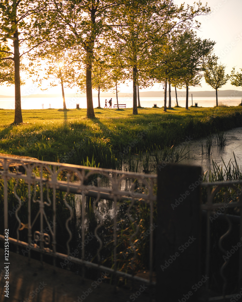 Morning photo of nice trees at lake Balaton