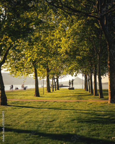 Lovely promenade of trees at Fonyód, lake Balaton