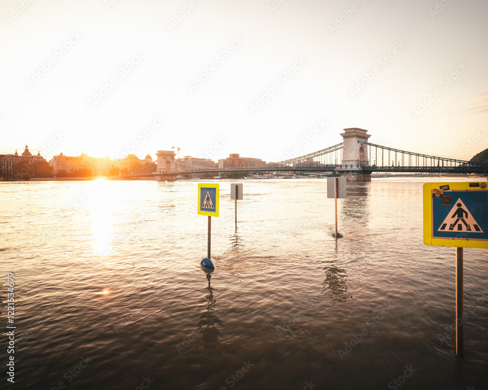 Flooded Chain Bridge in Budapest